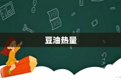 豆油热量