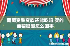 葡萄变酸变软还能吃吗 买的葡萄很酸怎么回事