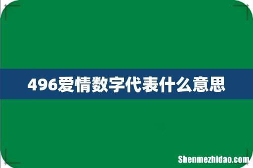 496爱情数字代表什么意思