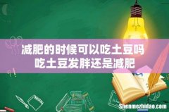 减肥的时候可以吃土豆吗 吃土豆发胖还是减肥