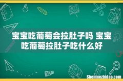 宝宝吃葡萄会拉肚子吗 宝宝吃葡萄拉肚子吃什么好