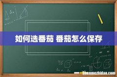 如何选番茄 番茄怎么保存