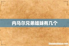 内马尔兄弟姐妹有几个