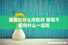 葡萄和什么搭配好 葡萄不能和什么一起吃