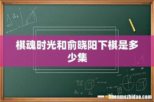 棋魂时光和俞晓阳下棋是多少集