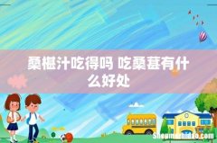 桑椹汁吃得吗 吃桑葚有什么好处