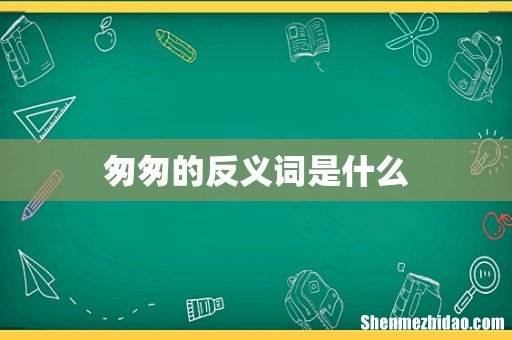 匆匆的反义词是什么