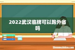 2022武汉临牌可以跑外省吗