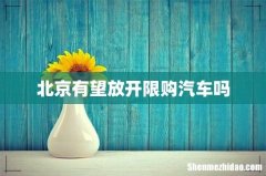 北京有望放开限购汽车吗