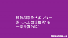投票机刷和人工的差别价格多少钱一票