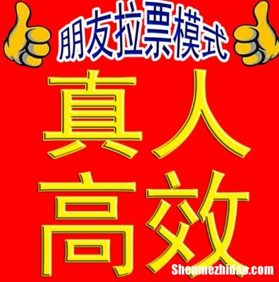 投票机刷和人工的差别价格多少钱一票