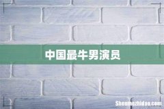 中国最牛男演员