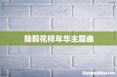 陆毅花样年华主题曲