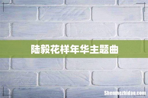 陆毅花样年华主题曲