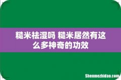 糙米祛湿吗 糙米居然有这么多神奇的功效
