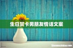 生日贺卡男朋友情话文案