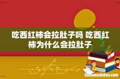 吃西红柿会拉肚子吗 吃西红柿为什么会拉肚子