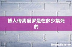 博人传我爱罗是在多少集死的