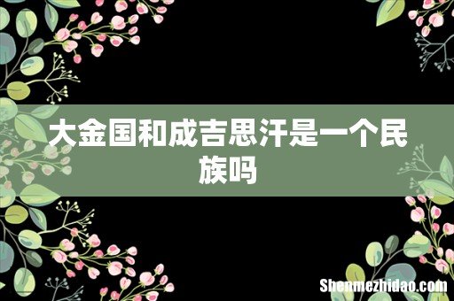 大金国和成吉思汗是一个民族吗