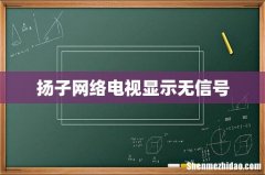 扬子网络电视显示无信号