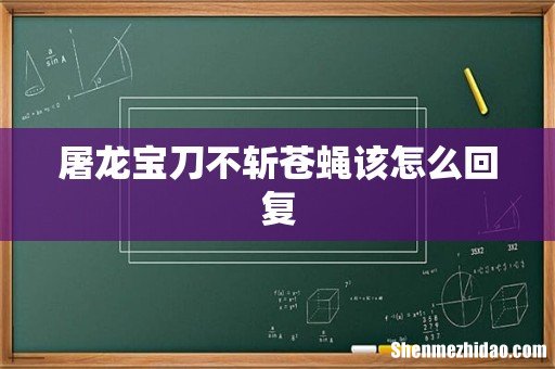 屠龙宝刀不斩苍蝇该怎么回复