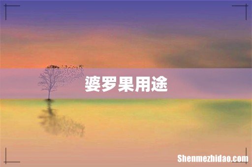 婆罗果用途