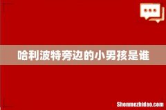 哈利波特旁边的小男孩是谁