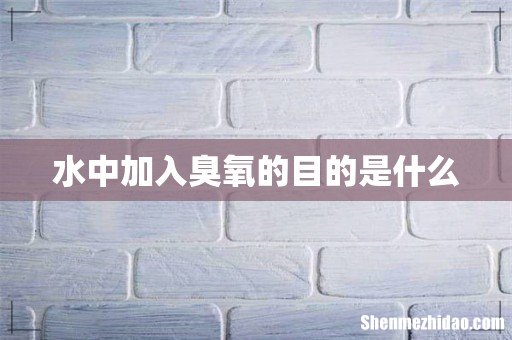 水中加入臭氧的目的是什么