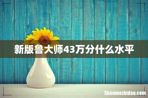 新版鲁大师43万分什么水平