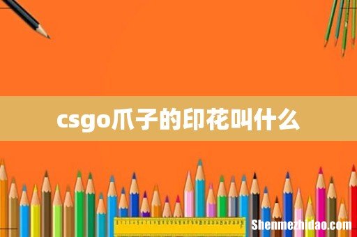 csgo爪子的印花叫什么