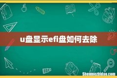 u盘显示efi盘如何去除