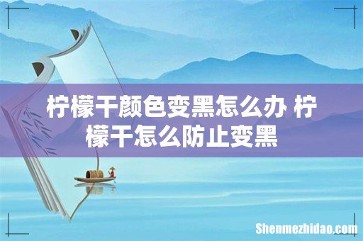 柠檬干颜色变黑怎么办 柠檬干怎么防止变黑