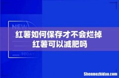 红薯如何保存才不会烂掉 红薯可以减肥吗
