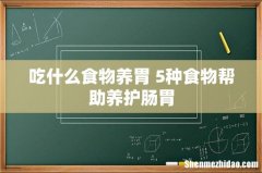 吃什么食物养胃 5种食物帮助养护肠胃