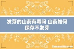 发芽的山药有毒吗 山药如何保存不发芽