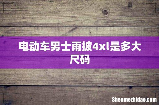 电动车男士雨披4xl是多大尺码