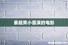 姜超黄小蕾演的电影