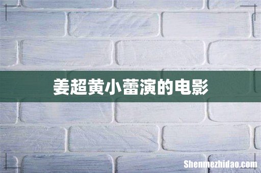 姜超黄小蕾演的电影