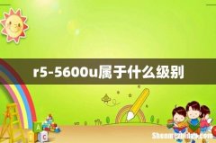 r5-5600u属于什么级别