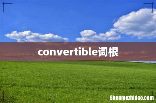 convertible词根