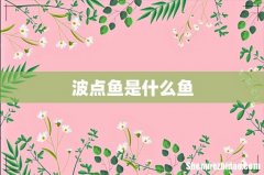 波点鱼是什么鱼