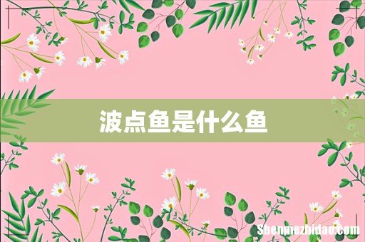 波点鱼是什么鱼