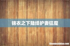 锦衣之下陆绎护妻狂魔