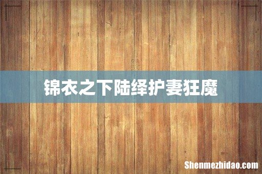 锦衣之下陆绎护妻狂魔