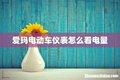 爱玛电动车仪表怎么看电量