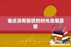 谁还没有狼狈的时光是哪首歌