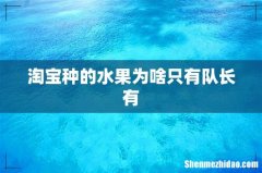 淘宝种的水果为啥只有队长有