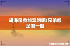 胡海泉参加奔跑吧!兄弟都是哪一期