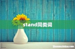 stand同类词