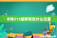 卡特313旋转泵在什么位置